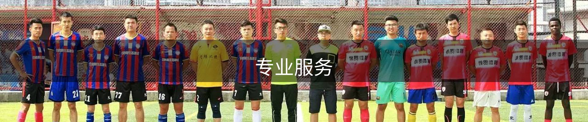 专业服务